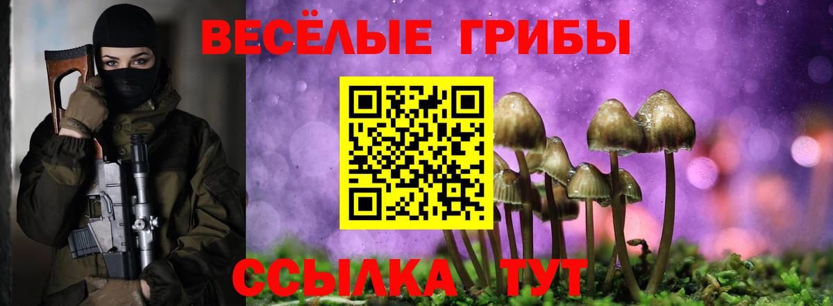 Красноярск  Псилоцибиновые грибы GOLDEN TEACHER  Вход с VPN 